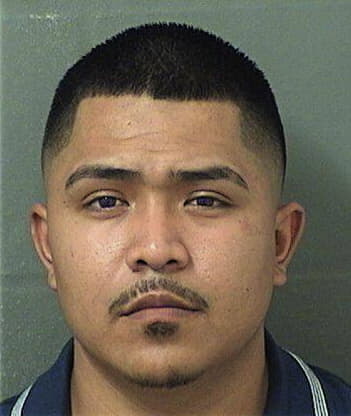 Hugo Perezgonzalez, - Palm Beach County, FL 